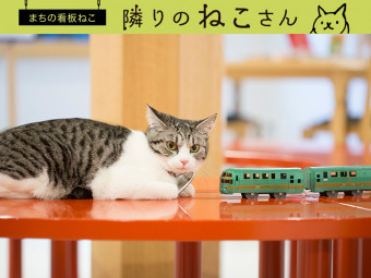 晴れて、ミュージアム館員となった「美宇（ミュー）」。 - Webタウン