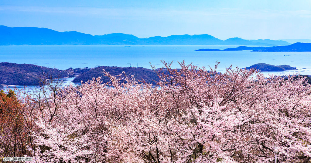 桜 4/20 発売】adidas Originals ZX 8000 “Hanami/Sakura” (アディダス