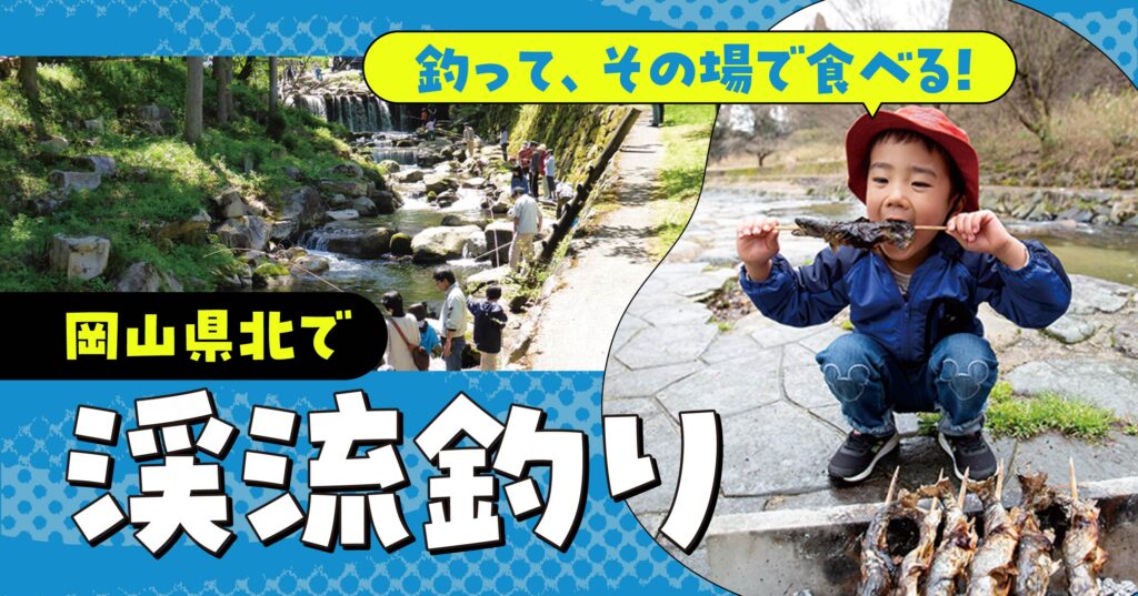 3e6b20da33c68bed6cd3f3f9b84a68