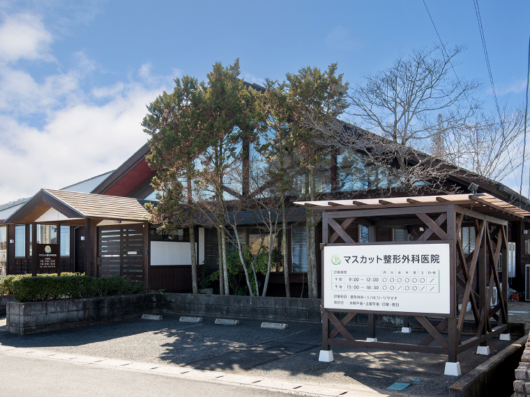 医療法人 マスカット整形外科医院