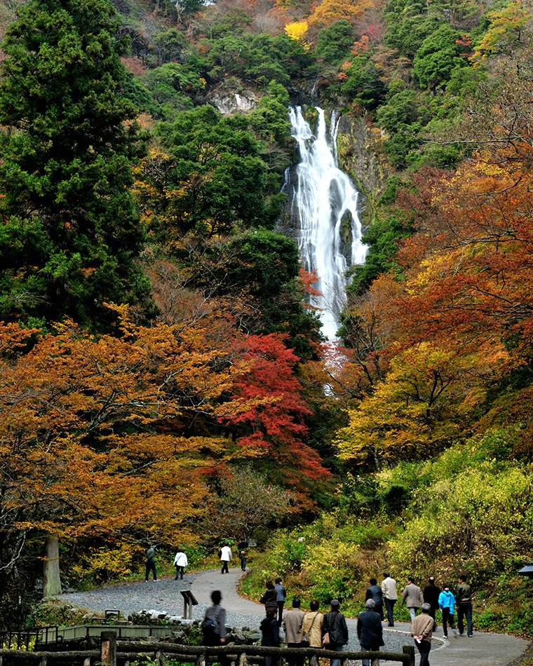 神庭の滝 自然公園