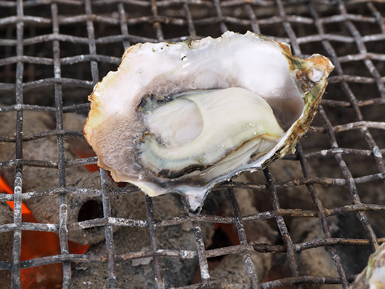 瀬戸内市 まえじま牡蠣小屋 ぷりっぷり ジューシーな焼きガキを食べに 前島 へ上陸 海辺で獲れたてのカキを味わいつくす Webタウン情報おかやま