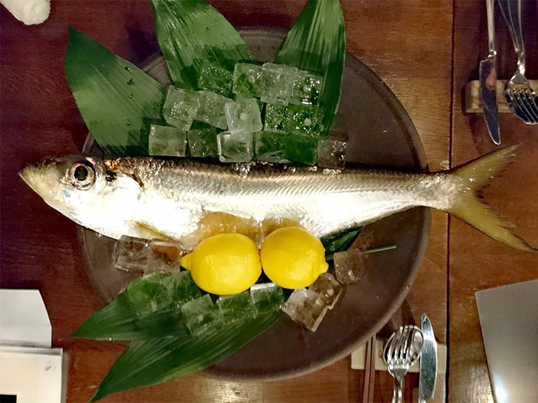 岡山の魚・ヒラ》味は抜群！なのに、ほぼ岡山県でしか食べられていない?! 「ヒラ」ってどんな魚？ - Webタウン情報おかやま