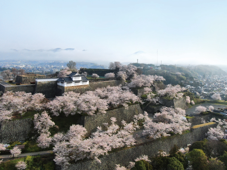 津山市観光文化部 観光・歴史まちづくり推進室