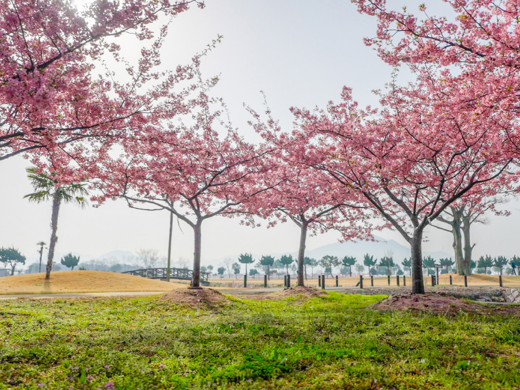 花回廊ゴルフコース