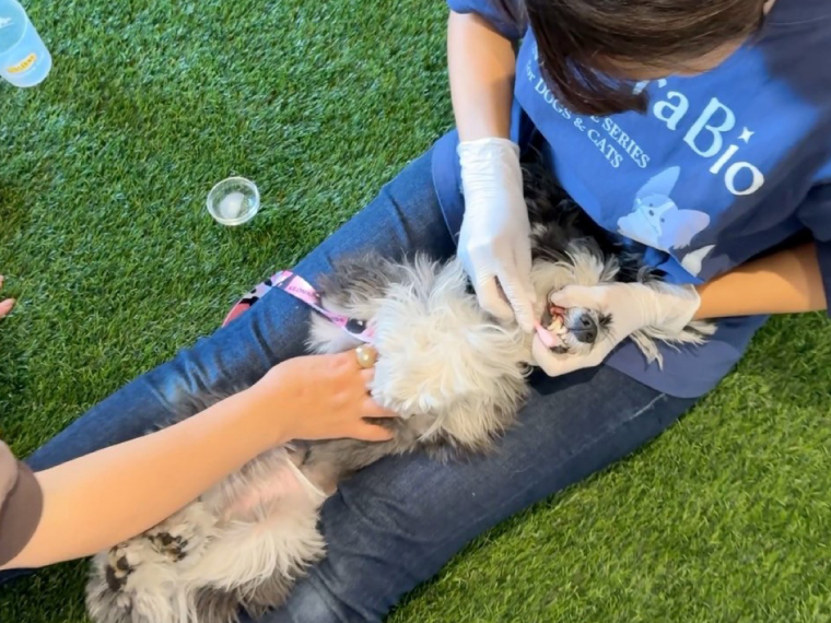 ワンちゃんの健康を考えたドッグラン GRASS 倉敷店