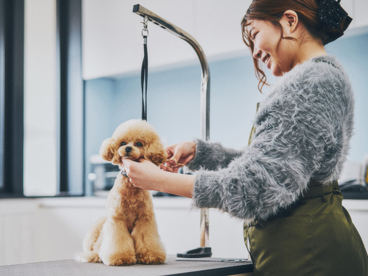 nest CARE CLINIC & SALON