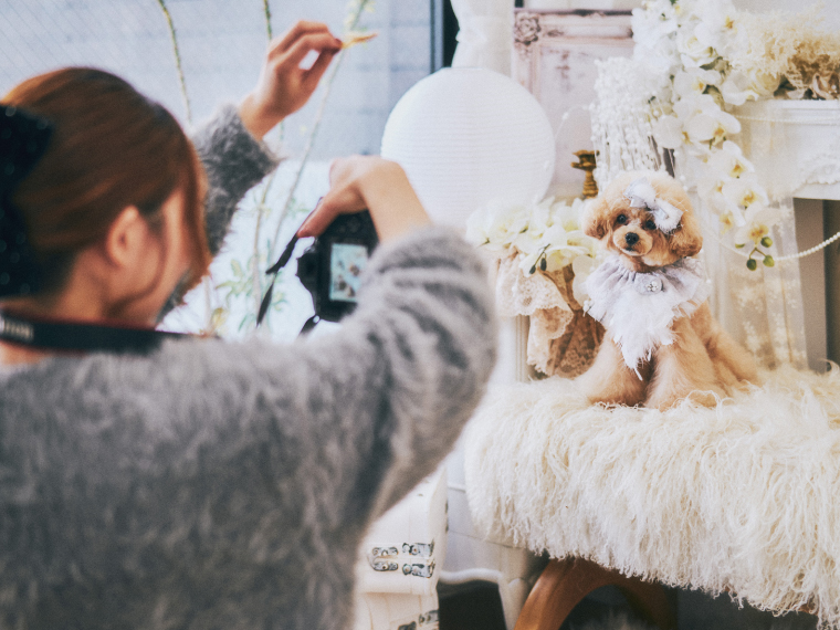 nest CARE CLINIC & SALON