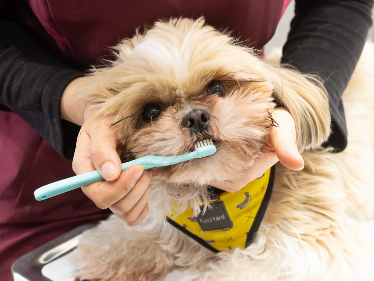 岡山アニマルデンタルクリニック