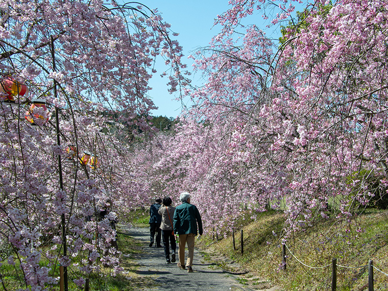 たけべの森公園