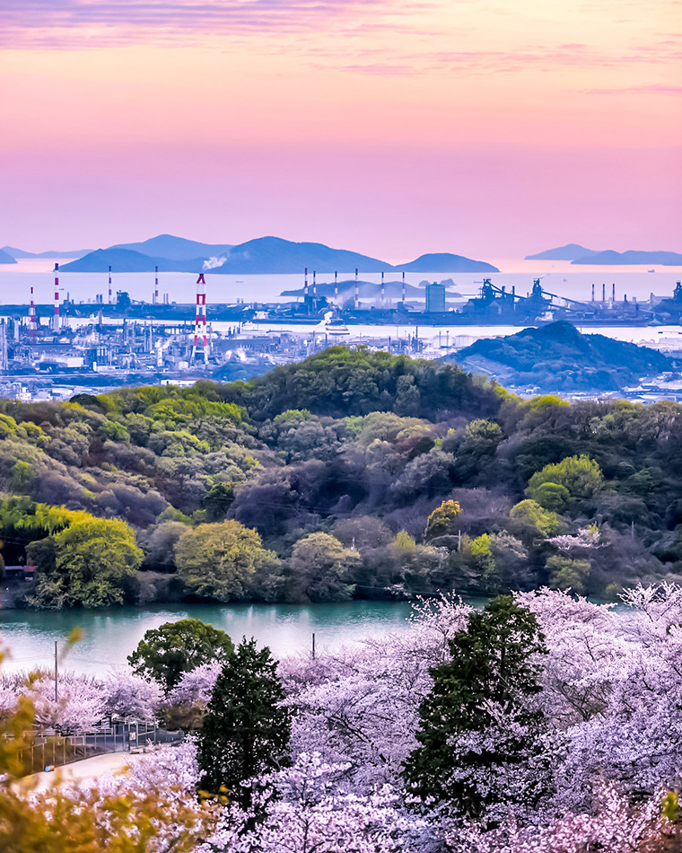 種松山公園西園地