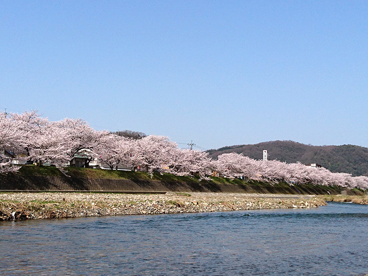 井原堤