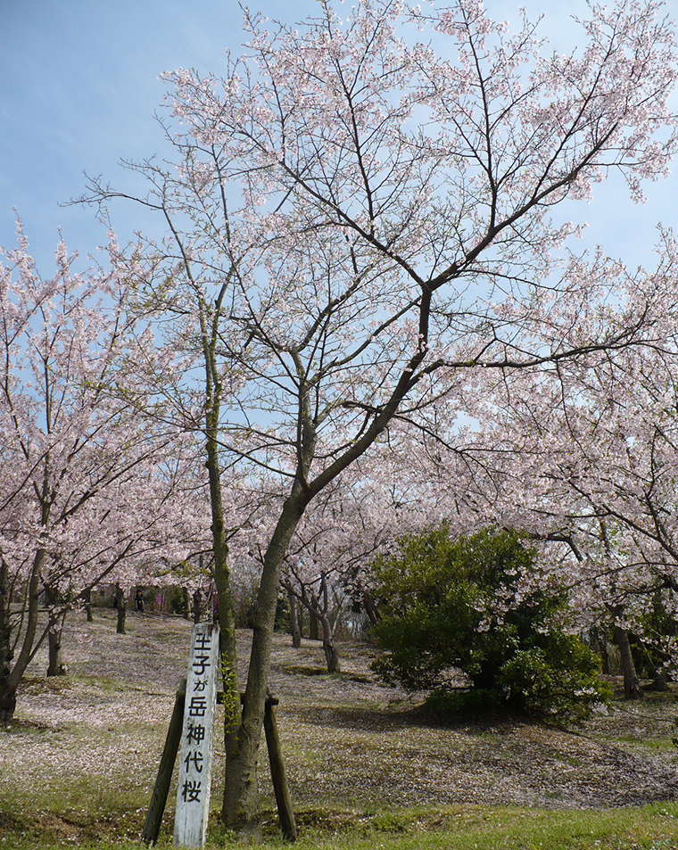 王子が岳