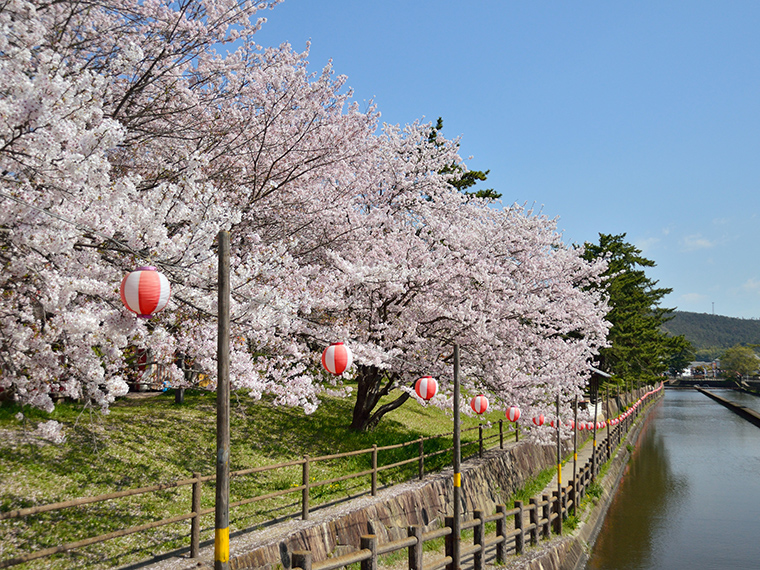 酒津公園