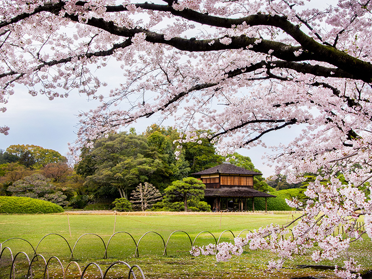 岡山後楽園