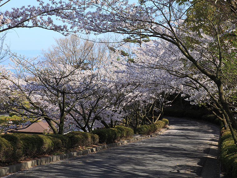 遙照山