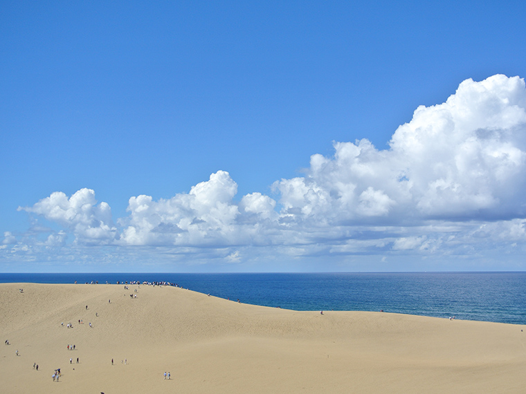 鳥取砂丘へ行こう 風と砂が織りなす 海と陸の出会うところ 日刊webタウン情報おかやま